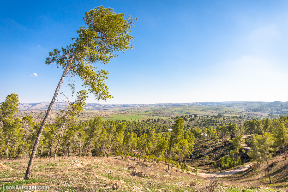Пещеры и поля округа Лахиш | LookAtIsrael.com - Фото путешествия по Израилю