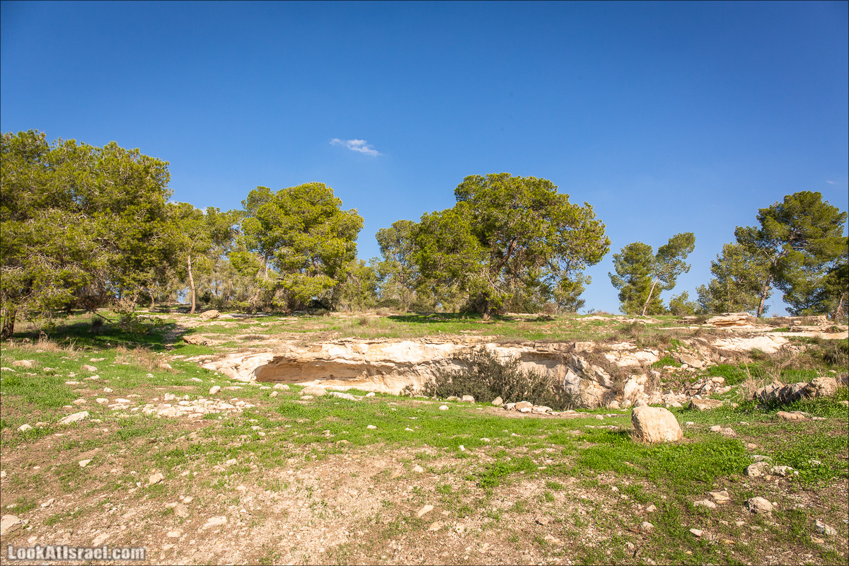 Пещеры и поля округа Лахиш | LookAtIsrael.com - Фото путешествия по Израилю