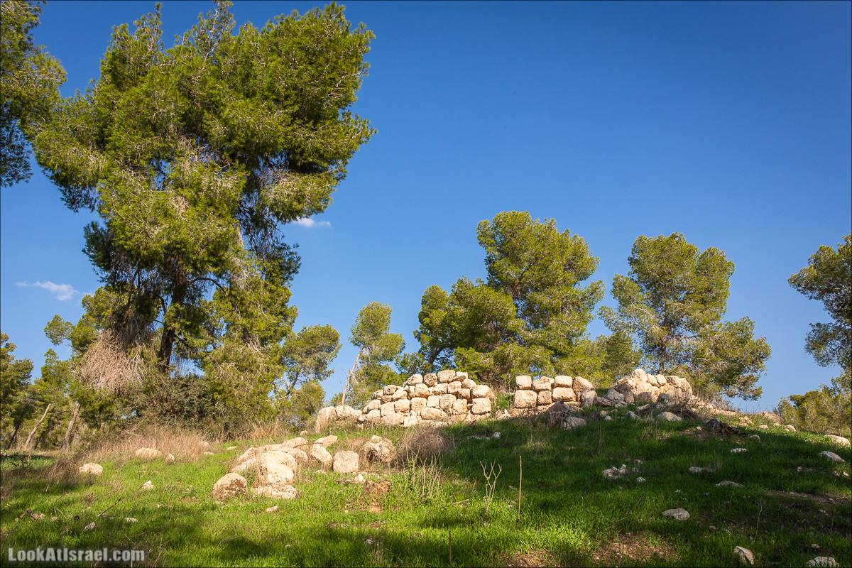 Пещеры и поля округа Лахиш | LookAtIsrael.com - Фото путешествия по Израилю