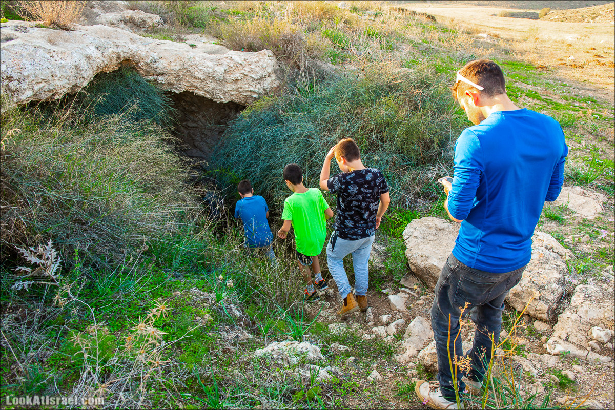 Пещеры и поля округа Лахиш | LookAtIsrael.com - Фото путешествия по Израилю