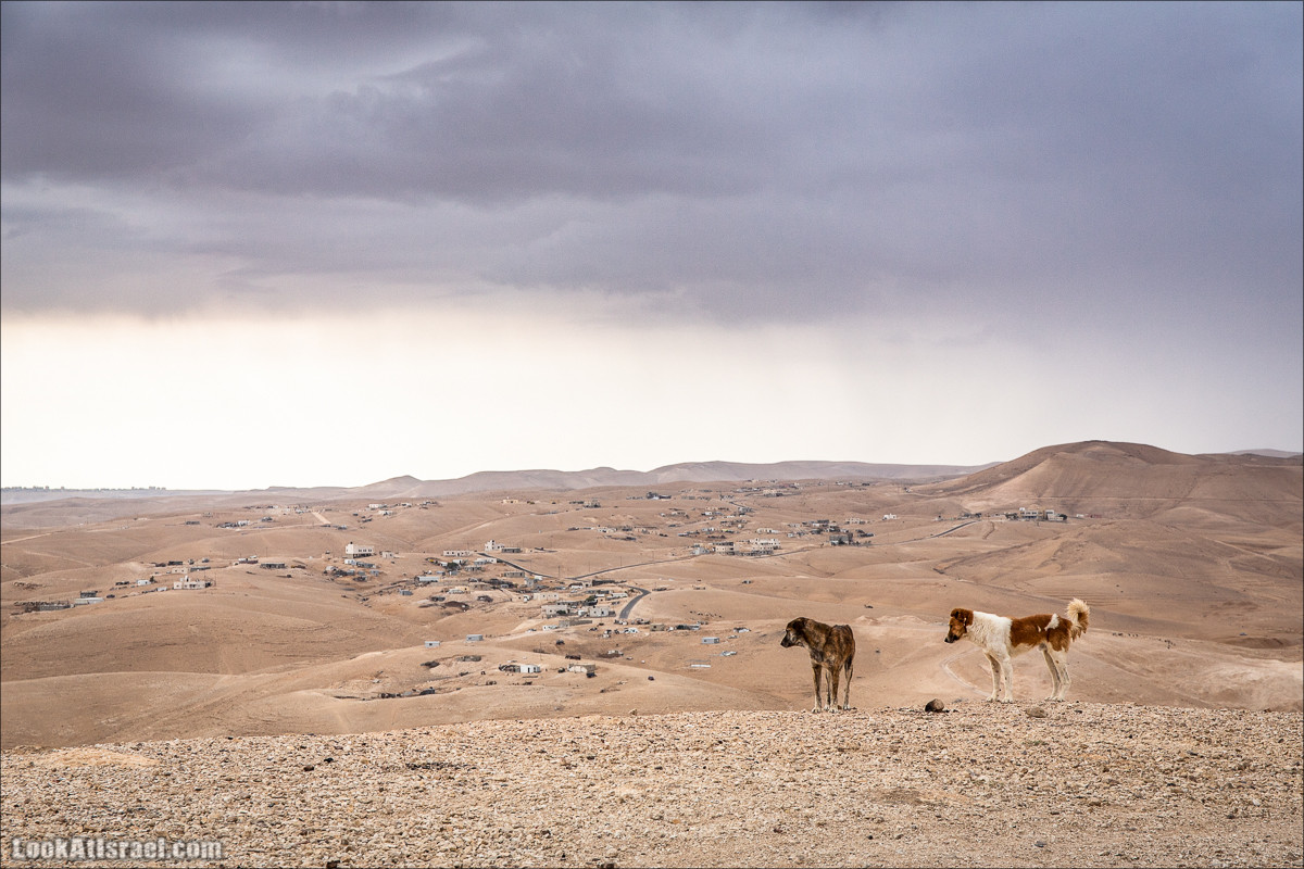 Путешествие на джипах по пустыне в поисках наводнений. Водопады Хевер, Шафан, Цафира | LookAtIsrael.com - Фото путешествия по Израилю