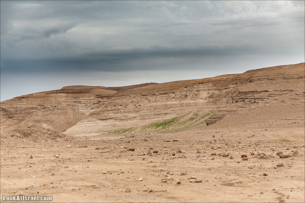 Путешествие на джипах по пустыне в поисках наводнений. Водопады Хевер, Шафан, Цафира | LookAtIsrael.com - Фото путешествия по Израилю