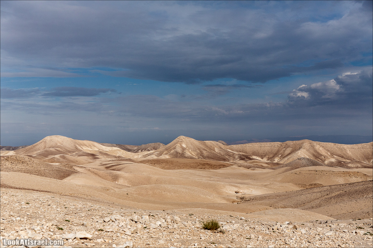 Путешествие на джипах по пустыне в поисках наводнений. Водопады Хевер, Шафан, Цафира | LookAtIsrael.com - Фото путешествия по Израилю