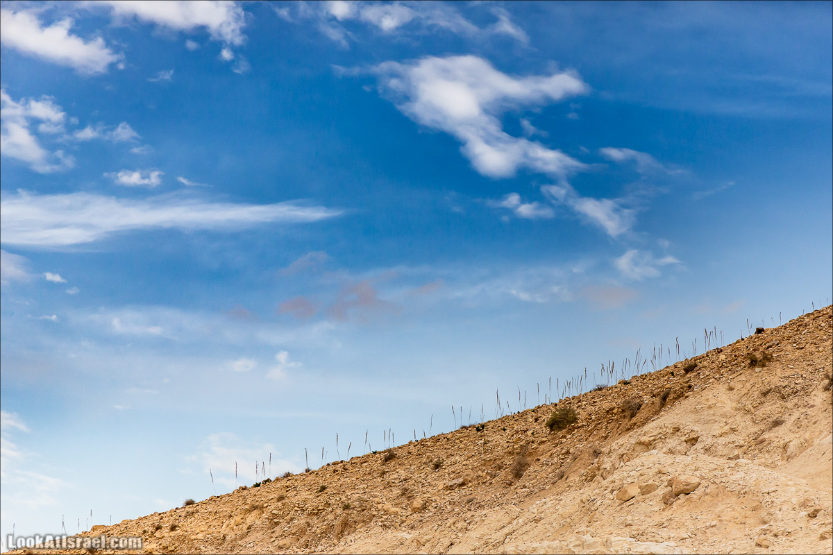 Путешествие на джипах по пустыне в поисках наводнений. Водопады Хевер, Шафан, Цафира | LookAtIsrael.com - Фото путешествия по Израилю