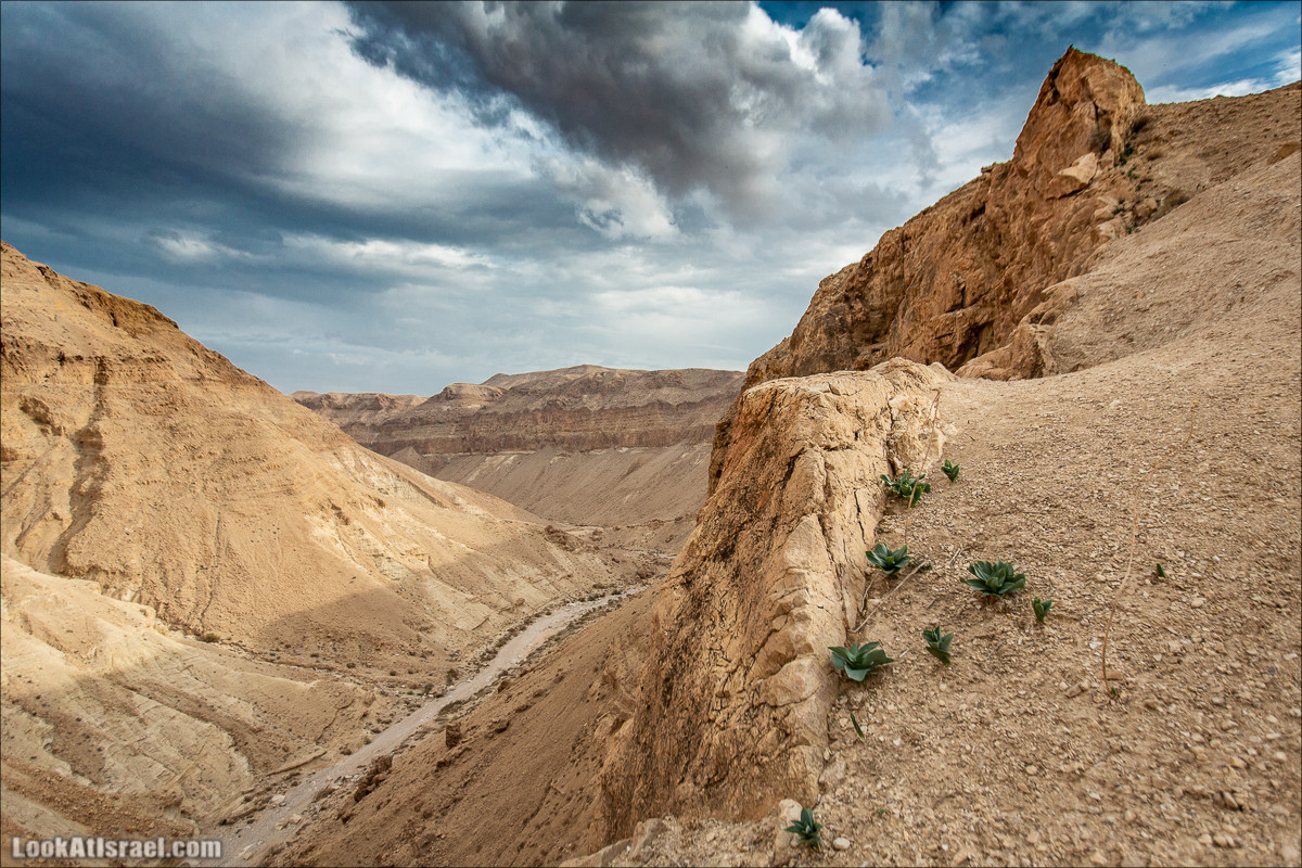 Путешествие на джипах по пустыне в поисках наводнений. Водопады Хевер, Шафан, Цафира | LookAtIsrael.com - Фото путешествия по Израилю