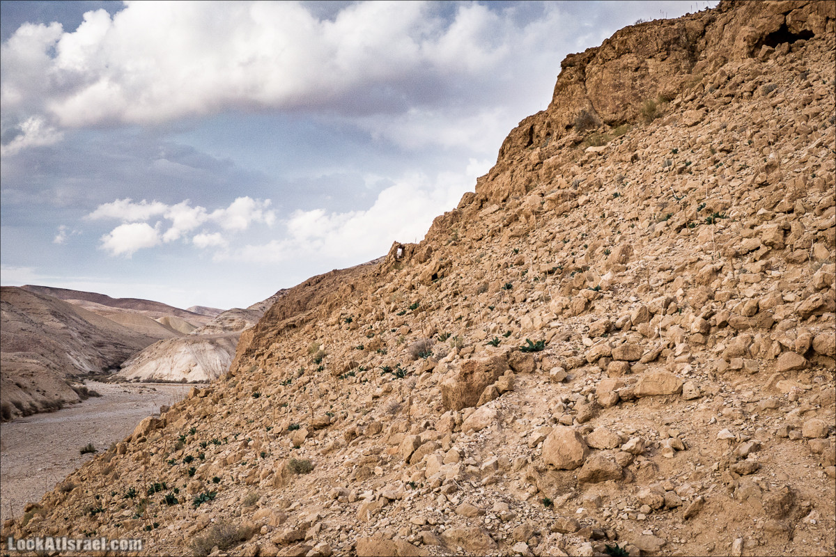 Путешествие на джипах по пустыне в поисках наводнений. Водопады Хевер, Шафан, Цафира | LookAtIsrael.com - Фото путешествия по Израилю
