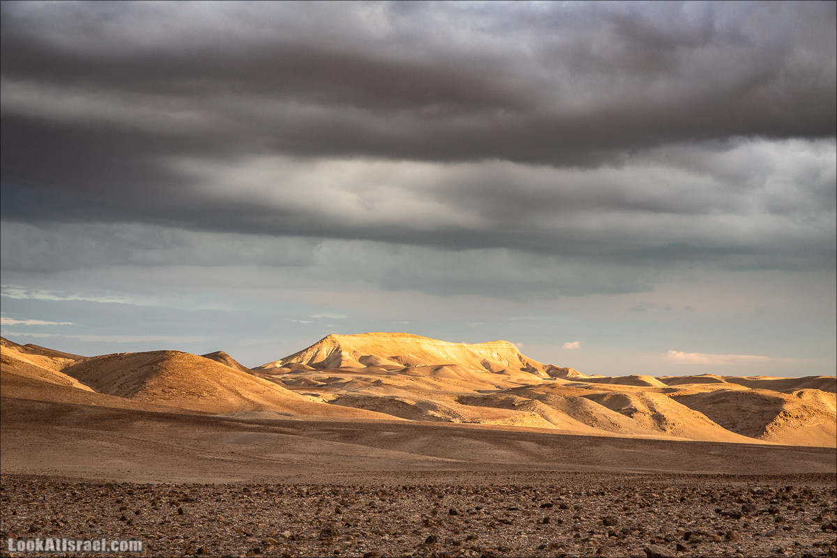 Путешествие на джипах по пустыне в поисках наводнений. Водопады Хевер, Шафан, Цафира | LookAtIsrael.com - Фото путешествия по Израилю