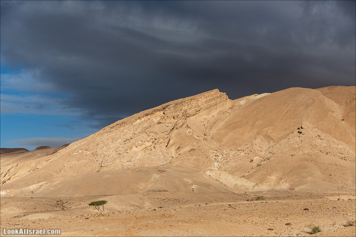 Скорпионий подъём - Маале Акрабим - Римская дорога | מעלה עקרבים | LookAtIsrael.com - Фото путешествия по Израилю