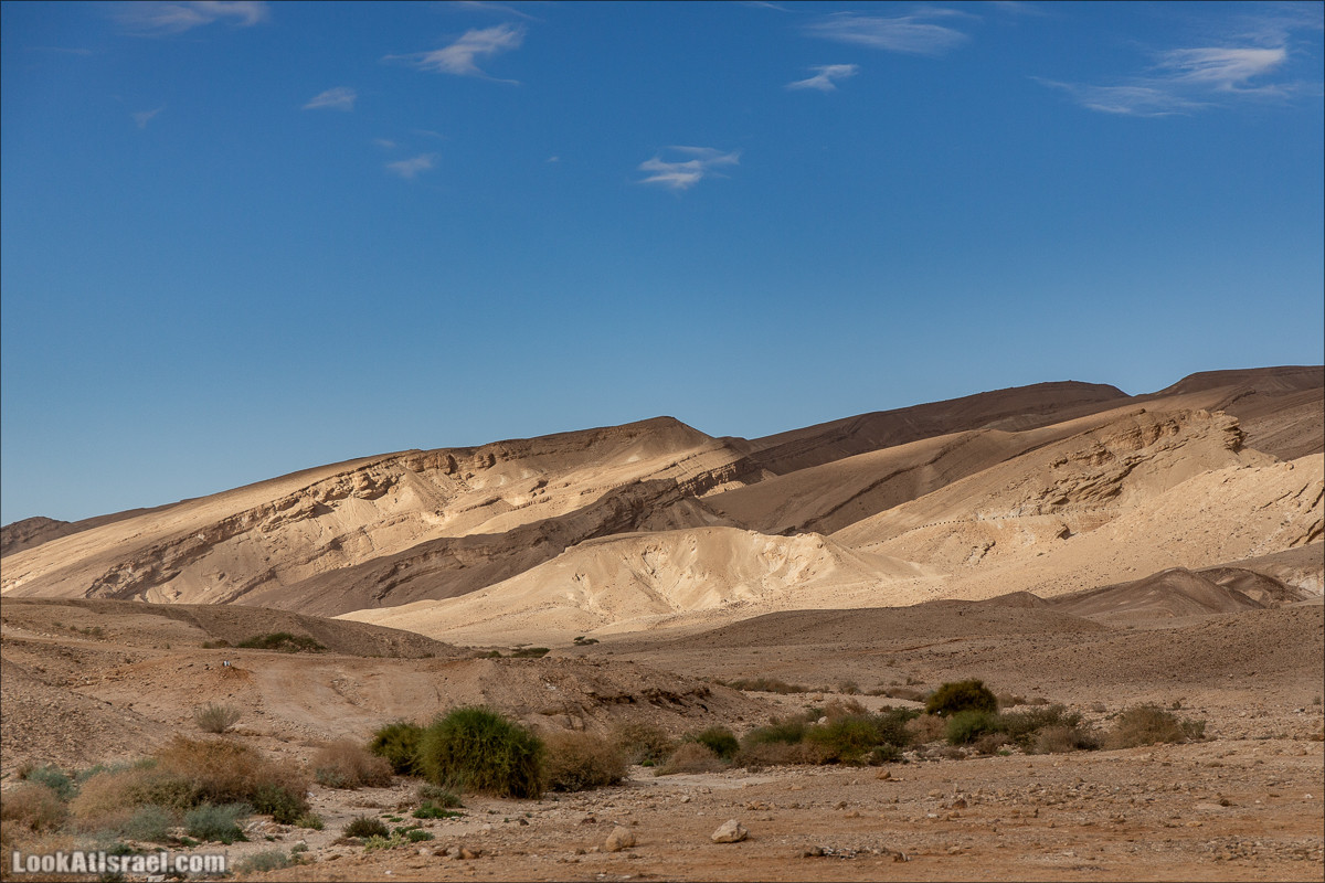 Скорпионий подъём - Маале Акрабим - Римская дорога | מעלה עקרבים | LookAtIsrael.com - Фото путешествия по Израилю