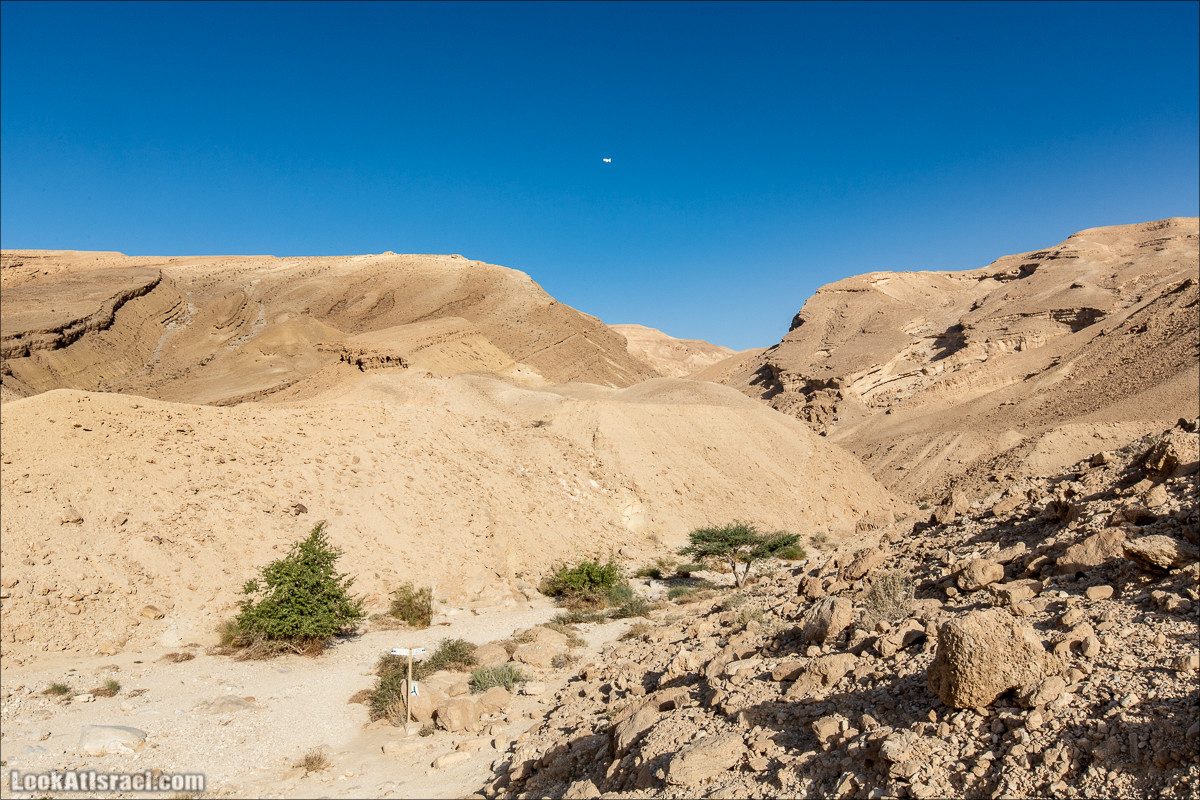Скорпионий подъём - Маале Акрабим - Римская дорога | מעלה עקרבים | LookAtIsrael.com - Фото путешествия по Израилю