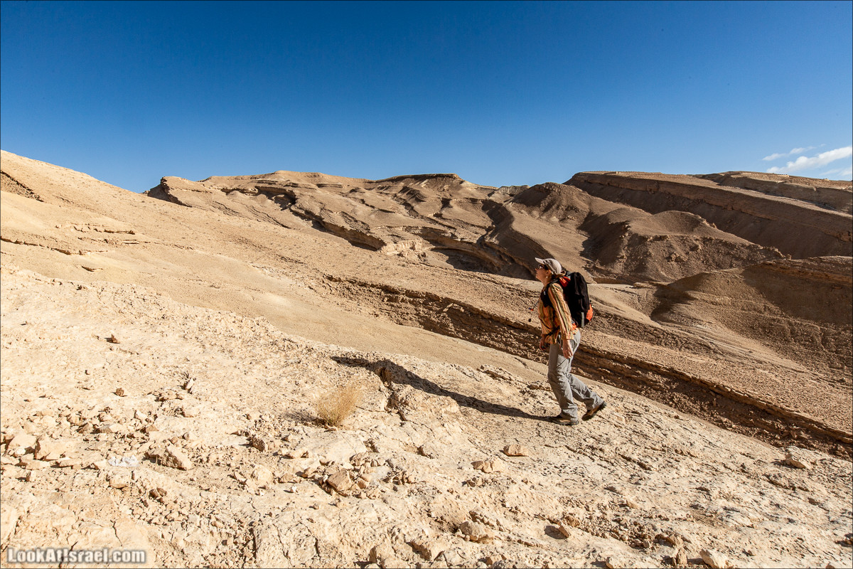Скорпионий подъём - Маале Акрабим - Римская дорога | מעלה עקרבים | LookAtIsrael.com - Фото путешествия по Израилю