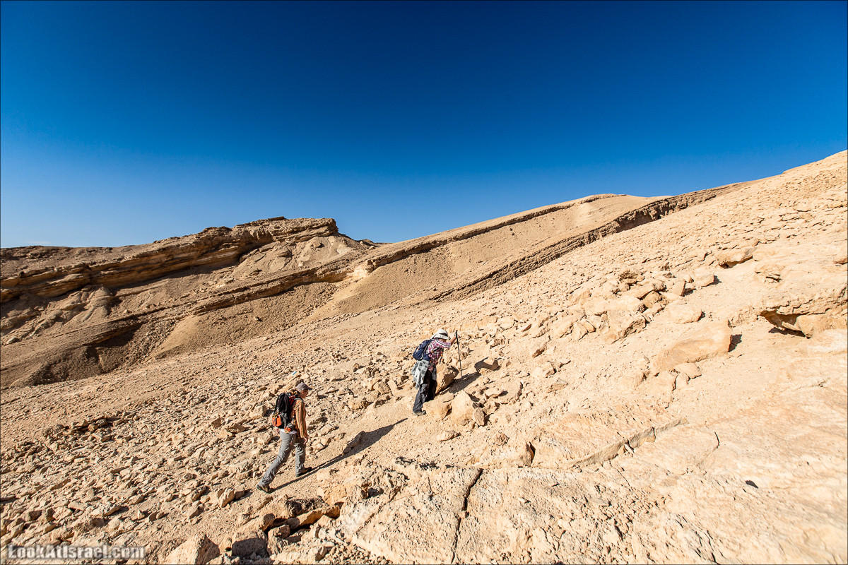 Скорпионий подъём - Маале Акрабим - Римская дорога | מעלה עקרבים | LookAtIsrael.com - Фото путешествия по Израилю