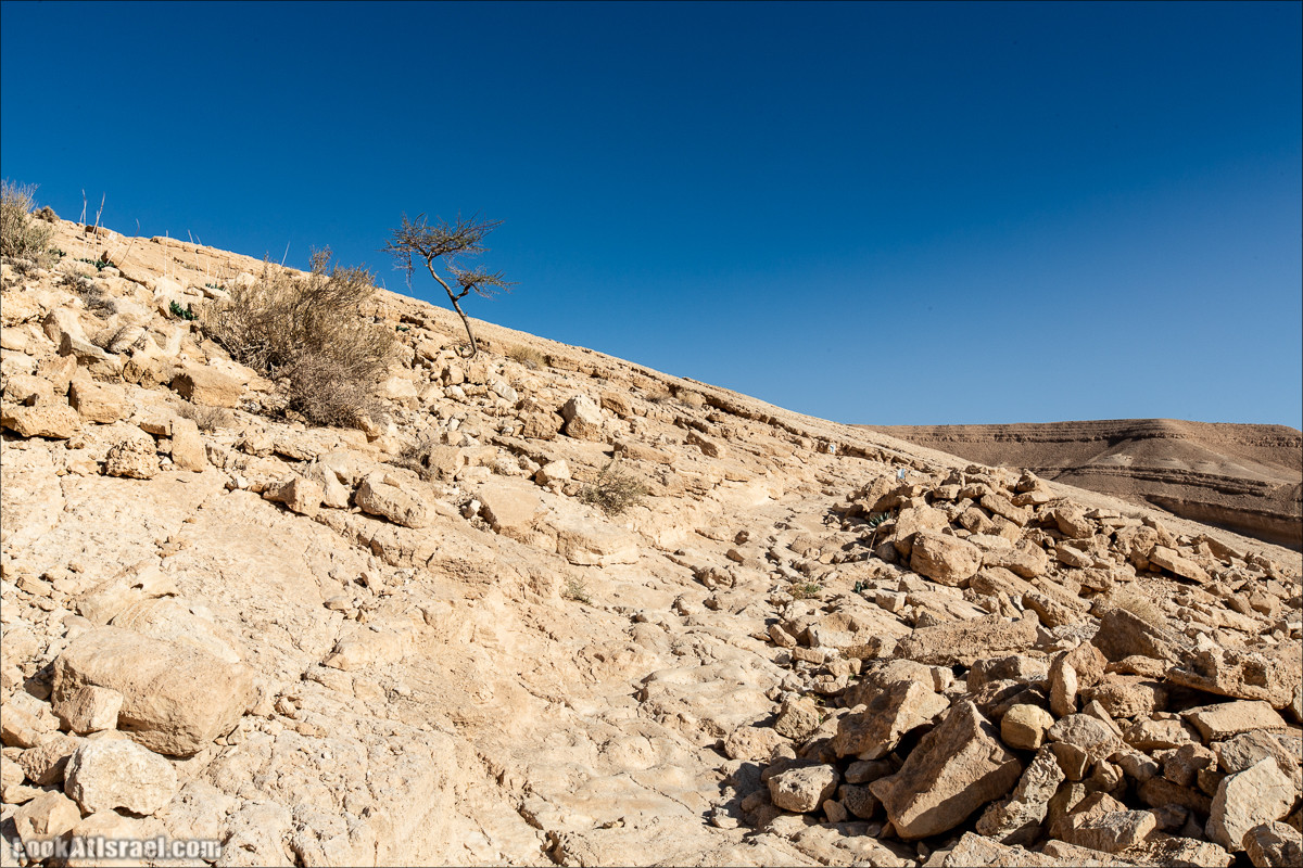 Скорпионий подъём - Маале Акрабим - Римская дорога | מעלה עקרבים | LookAtIsrael.com - Фото путешествия по Израилю