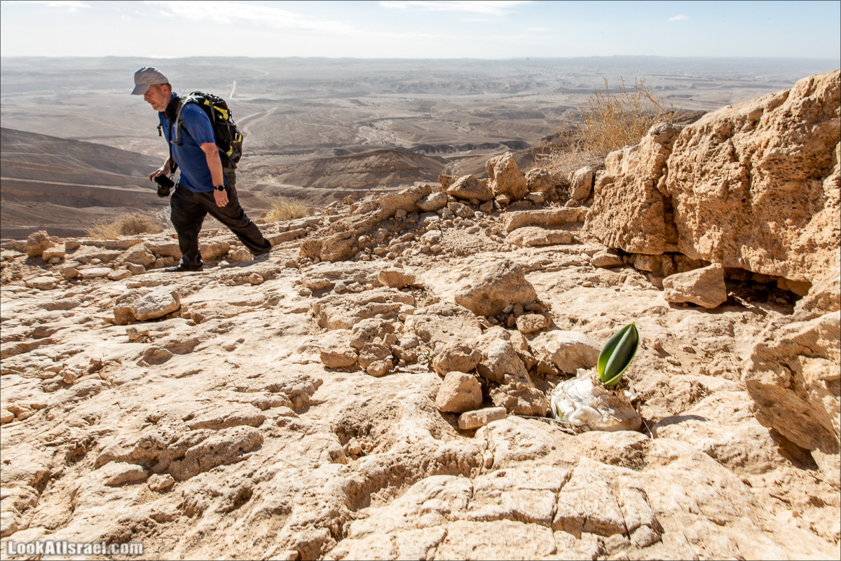 Скорпионий подъём - Маале Акрабим - Римская дорога | מעלה עקרבים | LookAtIsrael.com - Фото путешествия по Израилю