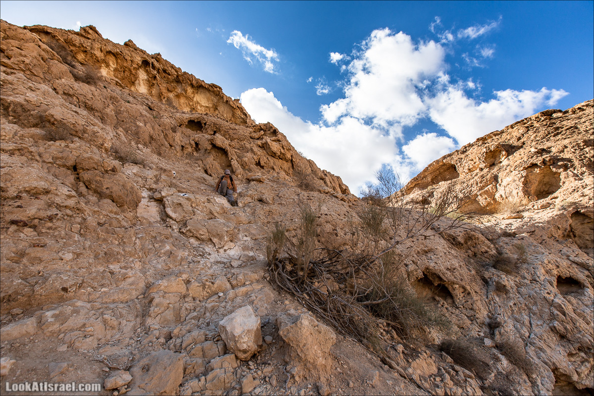 Скорпионий подъём - Маале Акрабим - Римская дорога | מעלה עקרבים | LookAtIsrael.com - Фото путешествия по Израилю