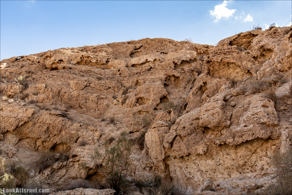Скорпионий подъём - Маале Акрабим - Римская дорога | מעלה עקרבים | LookAtIsrael.com - Фото путешествия по Израилю