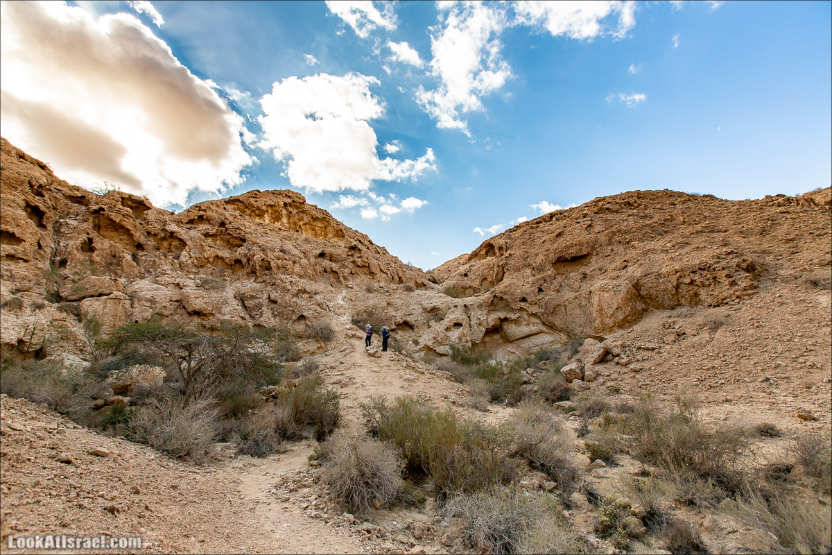 Скорпионий подъём - Маале Акрабим - Римская дорога | מעלה עקרבים | LookAtIsrael.com - Фото путешествия по Израилю