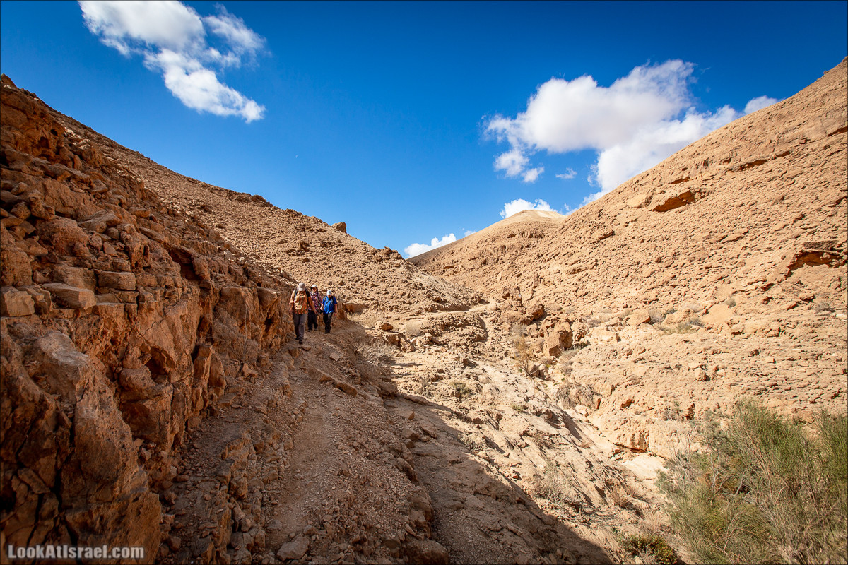 Скорпионий подъём - Маале Акрабим - Римская дорога | מעלה עקרבים | LookAtIsrael.com - Фото путешествия по Израилю