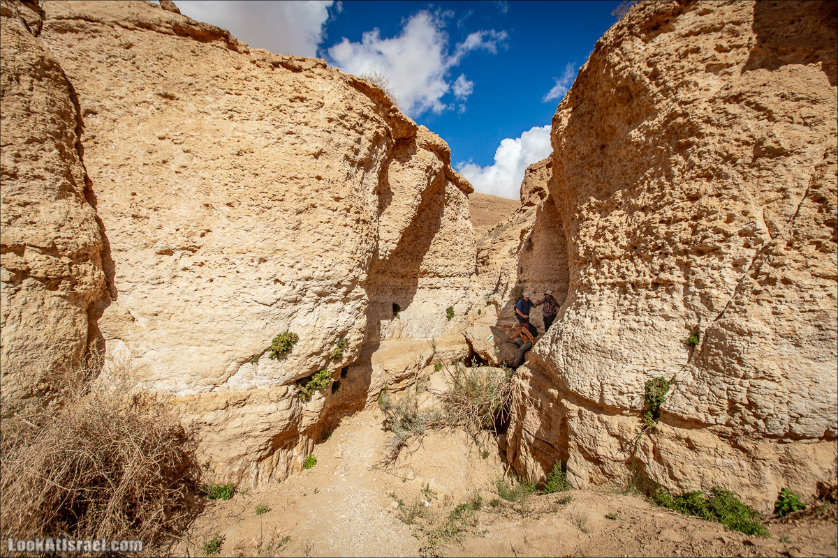 Ущелье Нахаль Гов | נחל גוב | LookAtIsrael.com - Фото путешествия по Израилю