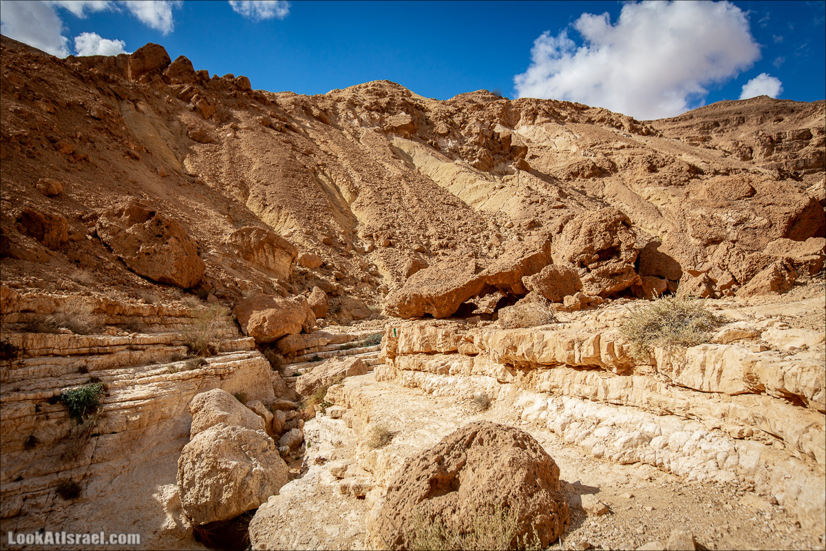 Ущелье Нахаль Гов | נחל גוב | LookAtIsrael.com - Фото путешествия по Израилю