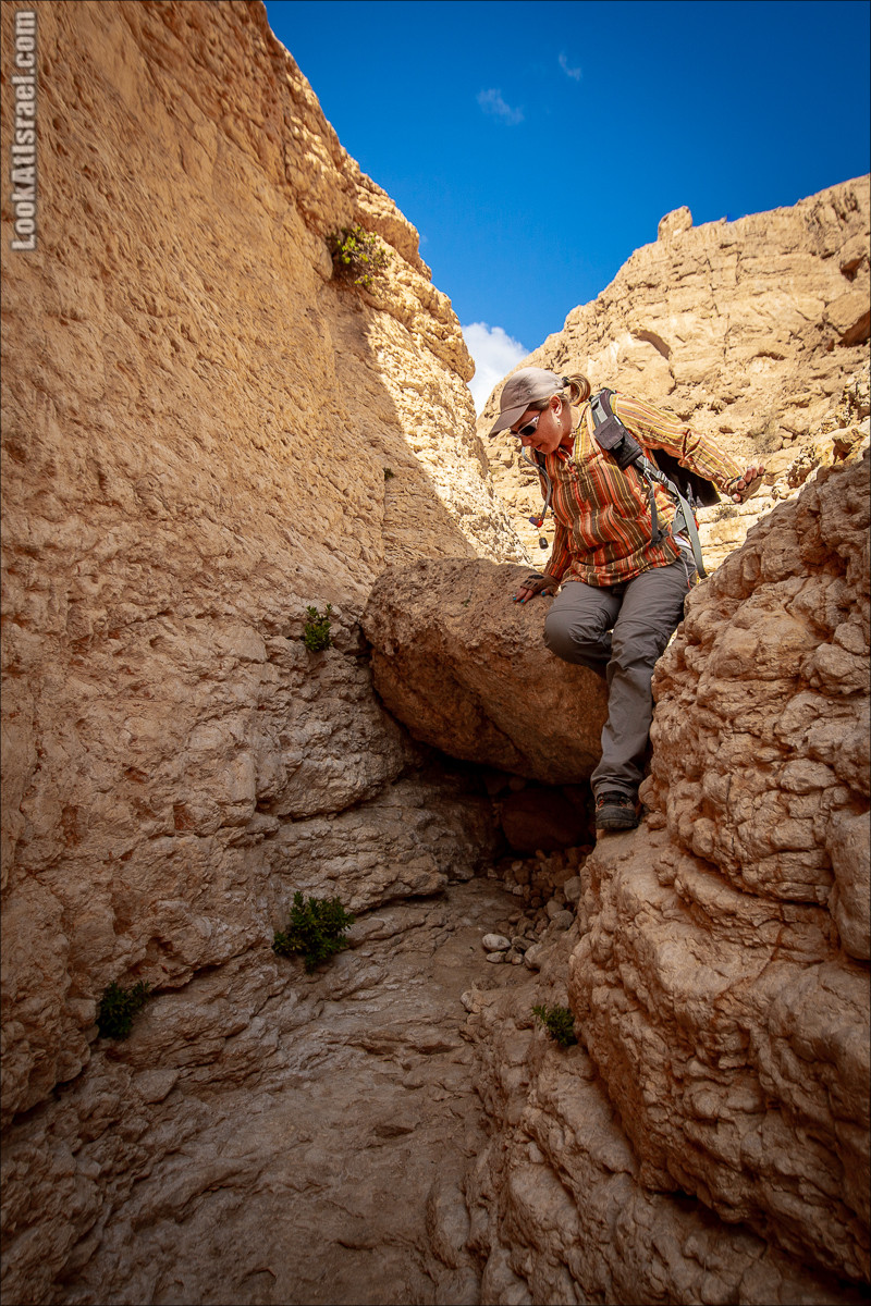 Ущелье Нахаль Гов | נחל גוב | LookAtIsrael.com - Фото путешествия по Израилю