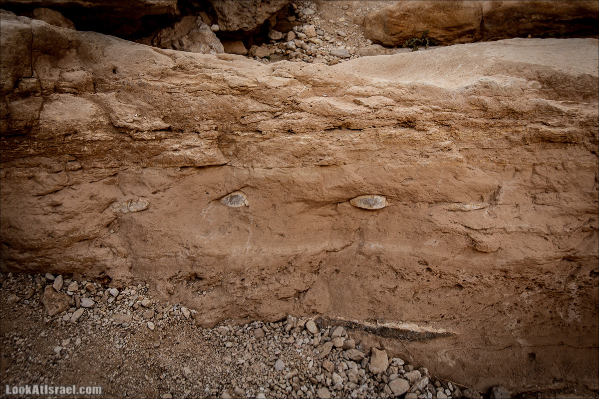 Ущелье Нахаль Гов | נחל גוב | LookAtIsrael.com - Фото путешествия по Израилю