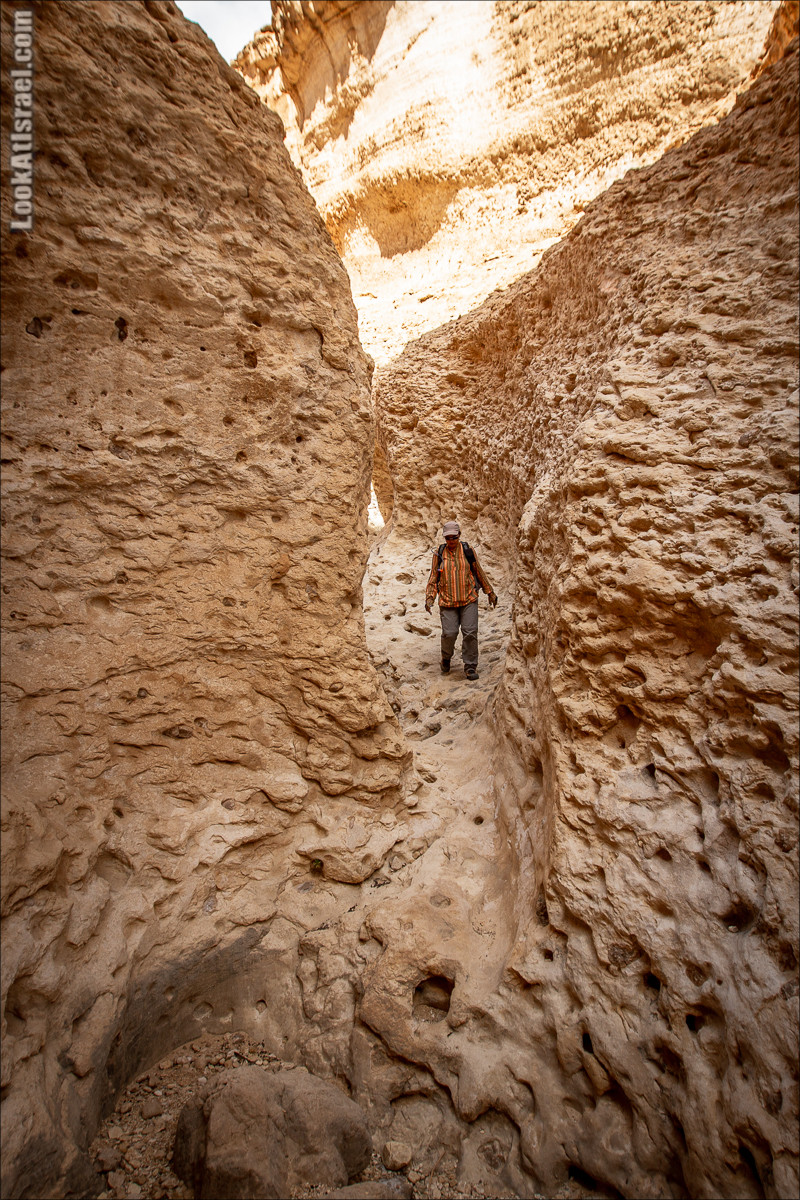 Ущелье Нахаль Гов | נחל גוב | LookAtIsrael.com - Фото путешествия по Израилю