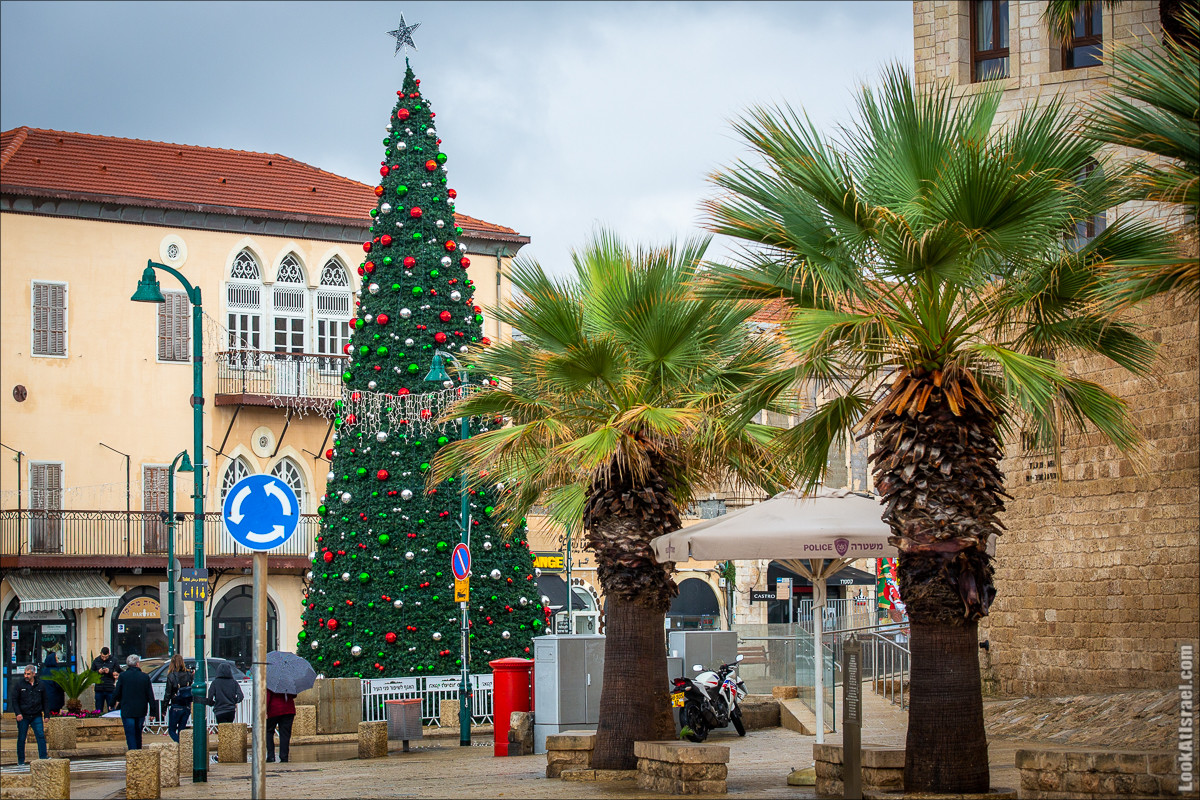 Рождественское зажжение ёлки 2019 в Яффо | LookAtIsrael.com - Фото путешествия по Израилю