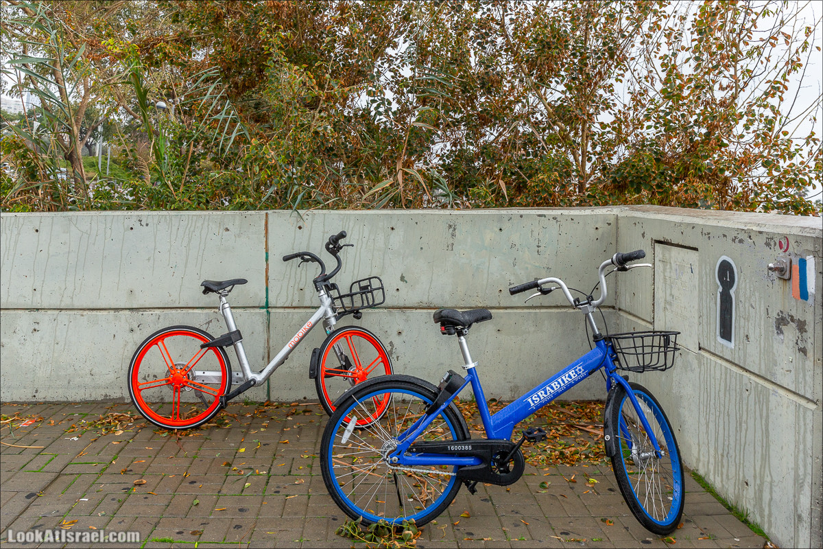 Дождливые выходные в Тель-Авиве | LookAtIsrael.com - Фото путешествия по Израилю