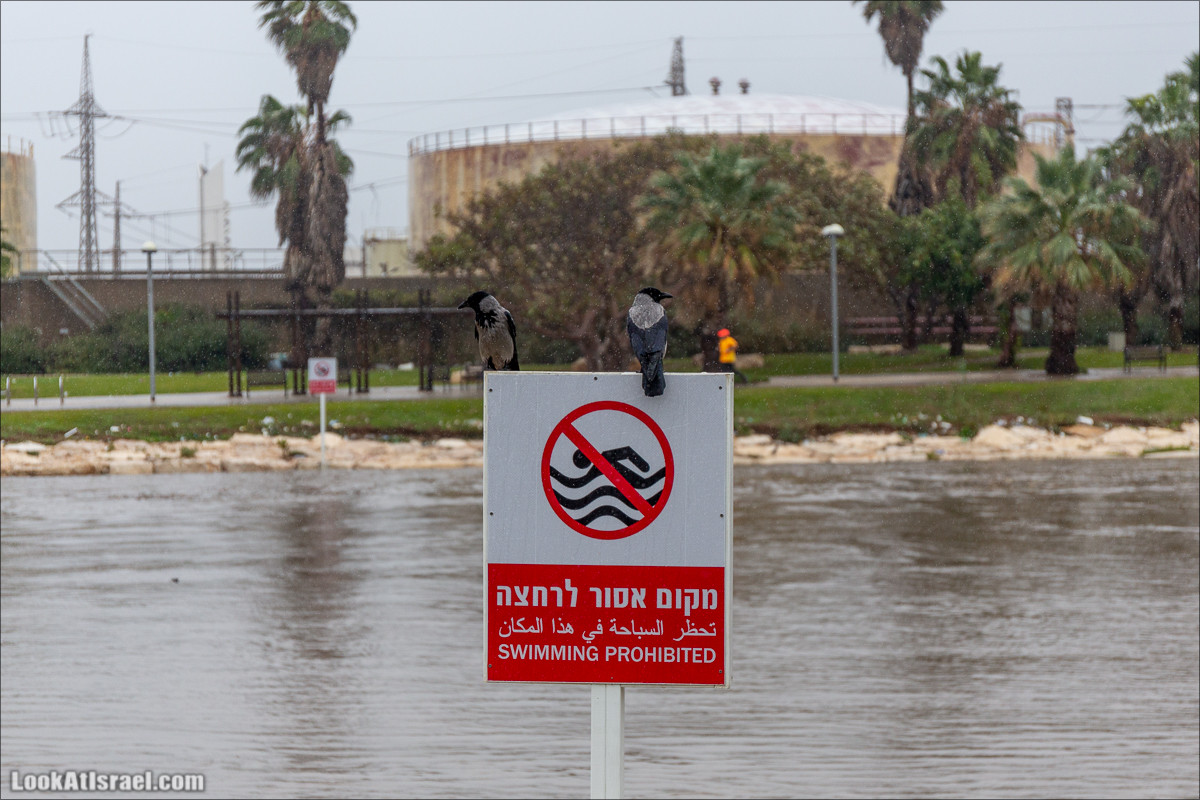 Дождливые выходные в Тель-Авиве | LookAtIsrael.com - Фото путешествия по Израилю