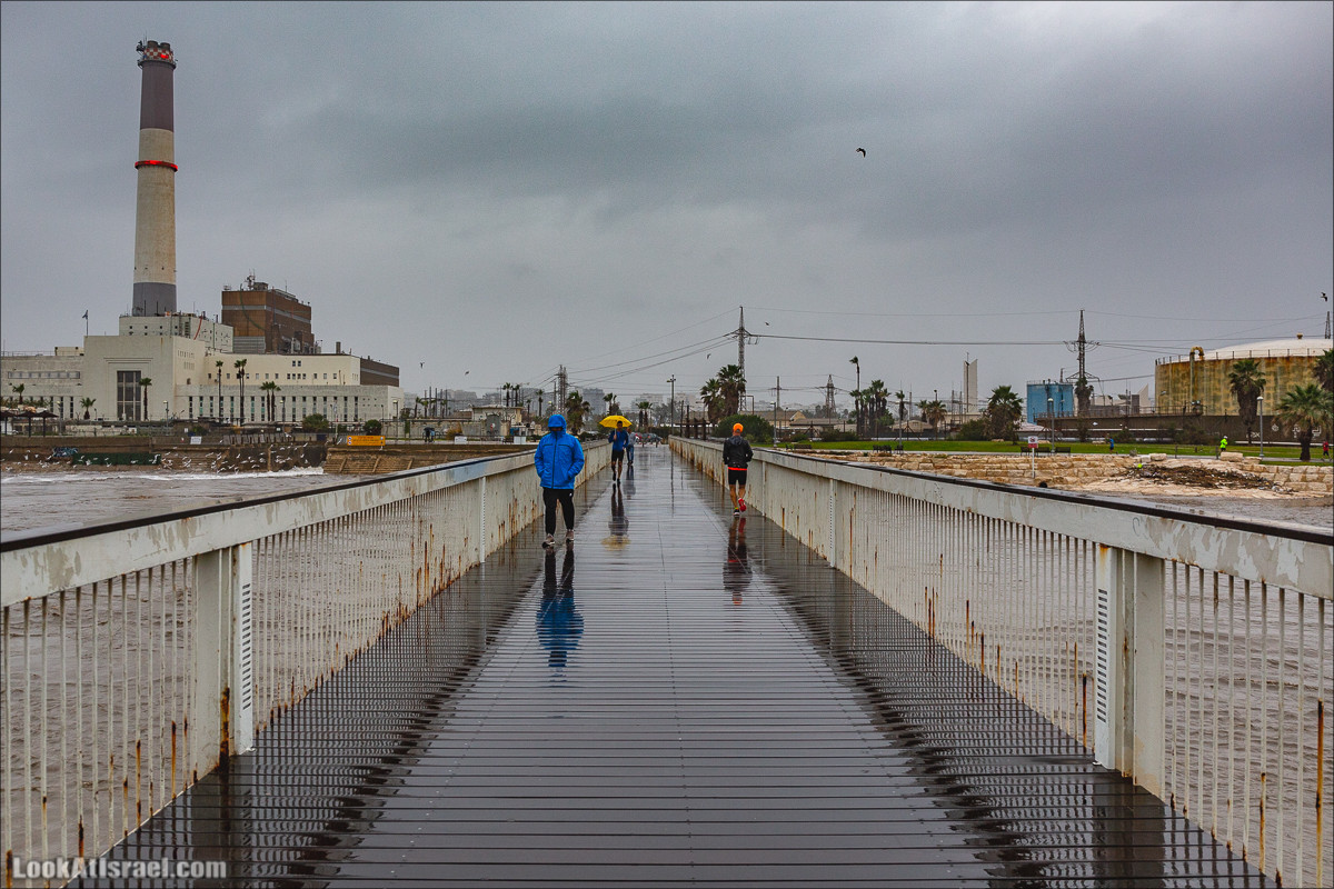 Дождливые выходные в Тель-Авиве | LookAtIsrael.com - Фото путешествия по Израилю