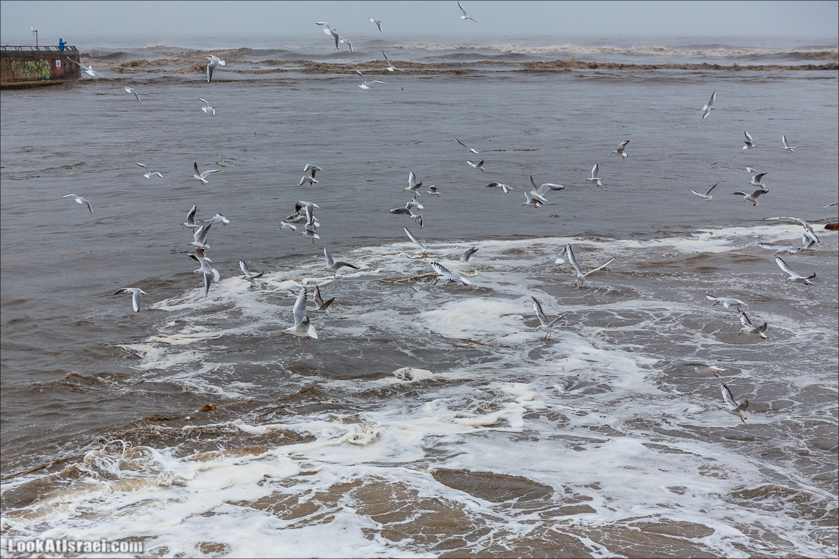 Дождливые выходные в Тель-Авиве | LookAtIsrael.com - Фото путешествия по Израилю