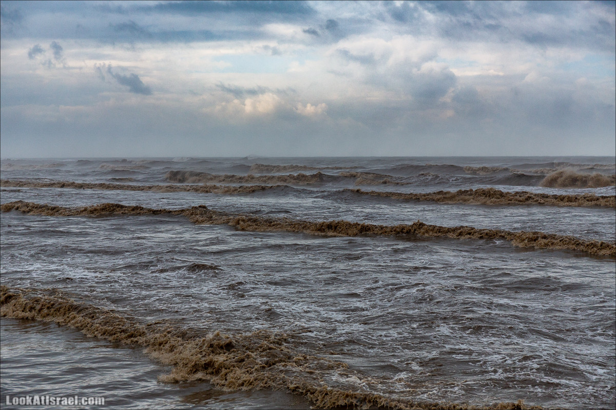 Дождливые выходные в Тель-Авиве | LookAtIsrael.com - Фото путешествия по Израилю