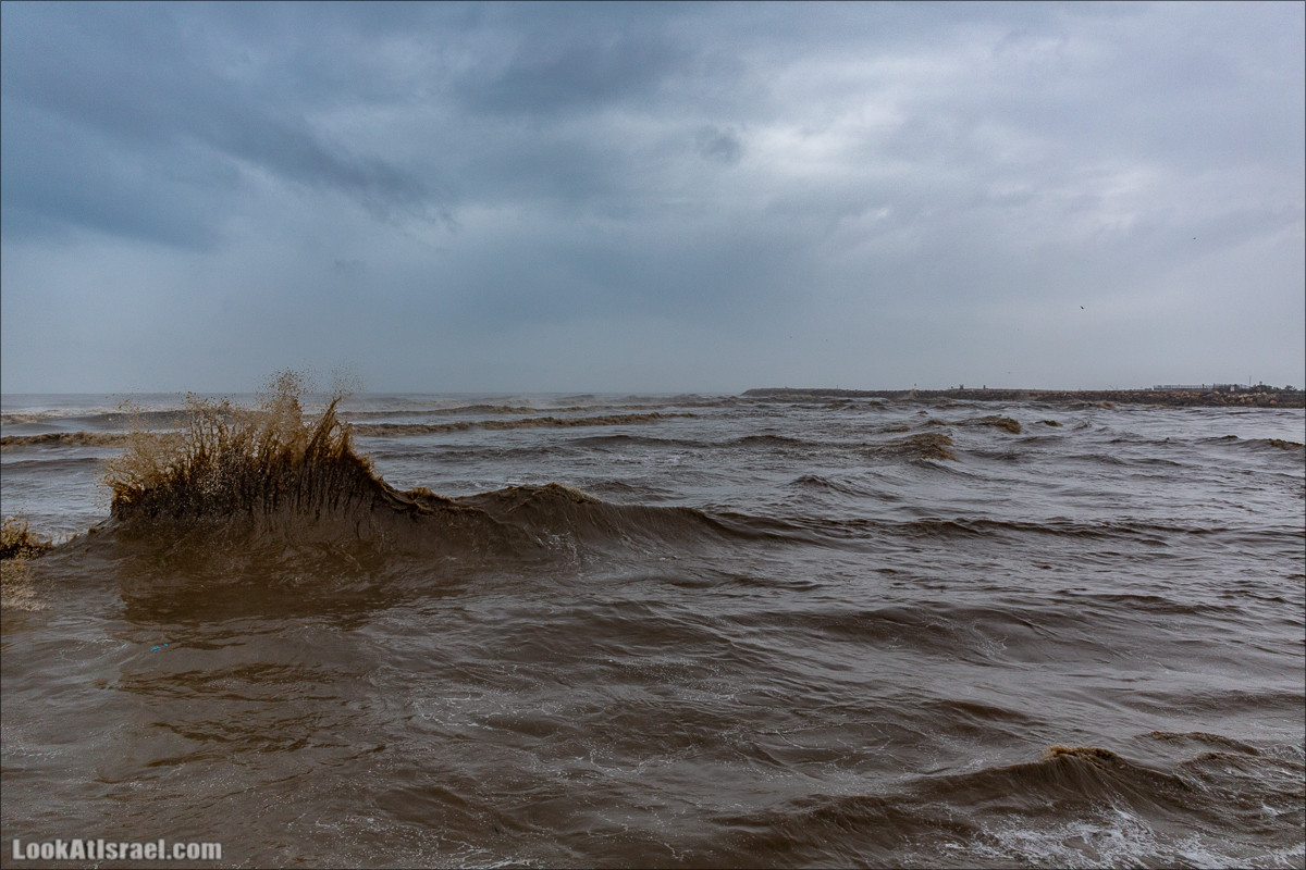 Дождливые выходные в Тель-Авиве | LookAtIsrael.com - Фото путешествия по Израилю
