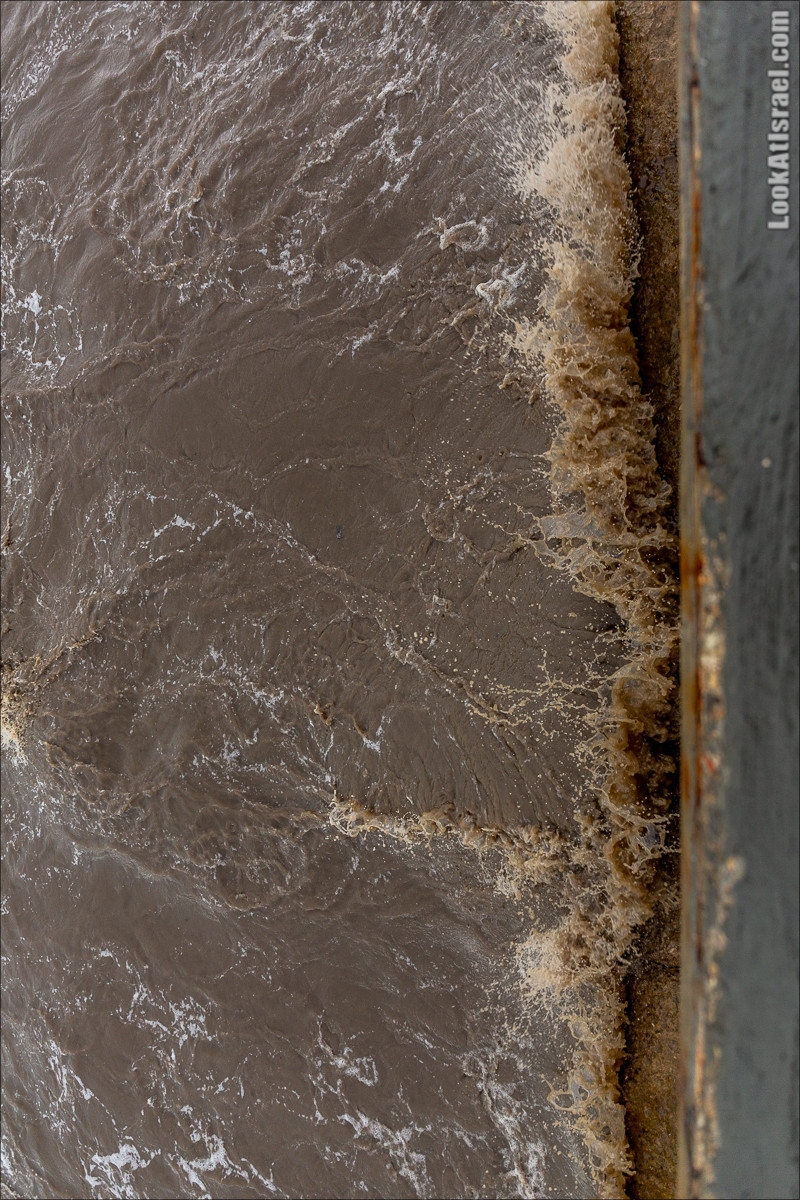 Дождливые выходные в Тель-Авиве | LookAtIsrael.com - Фото путешествия по Израилю