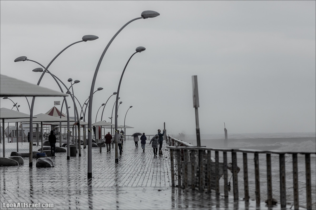 Дождливые выходные в Тель-Авиве | LookAtIsrael.com - Фото путешествия по Израилю