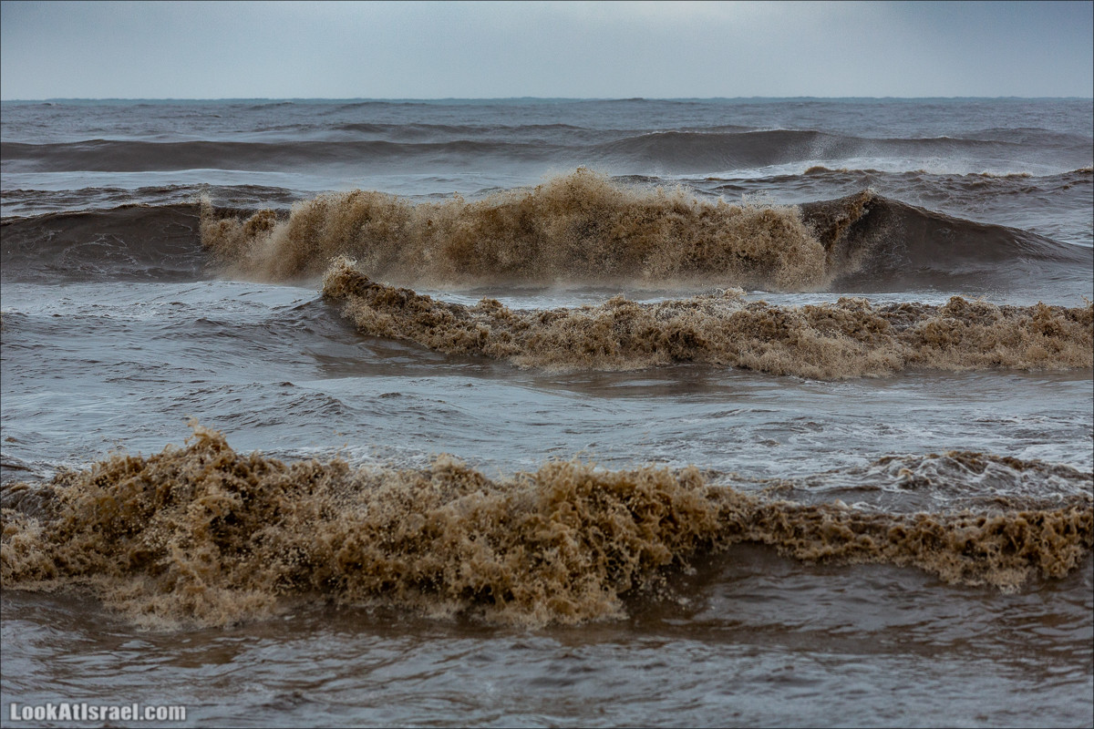 Дождливые выходные в Тель-Авиве | LookAtIsrael.com - Фото путешествия по Израилю