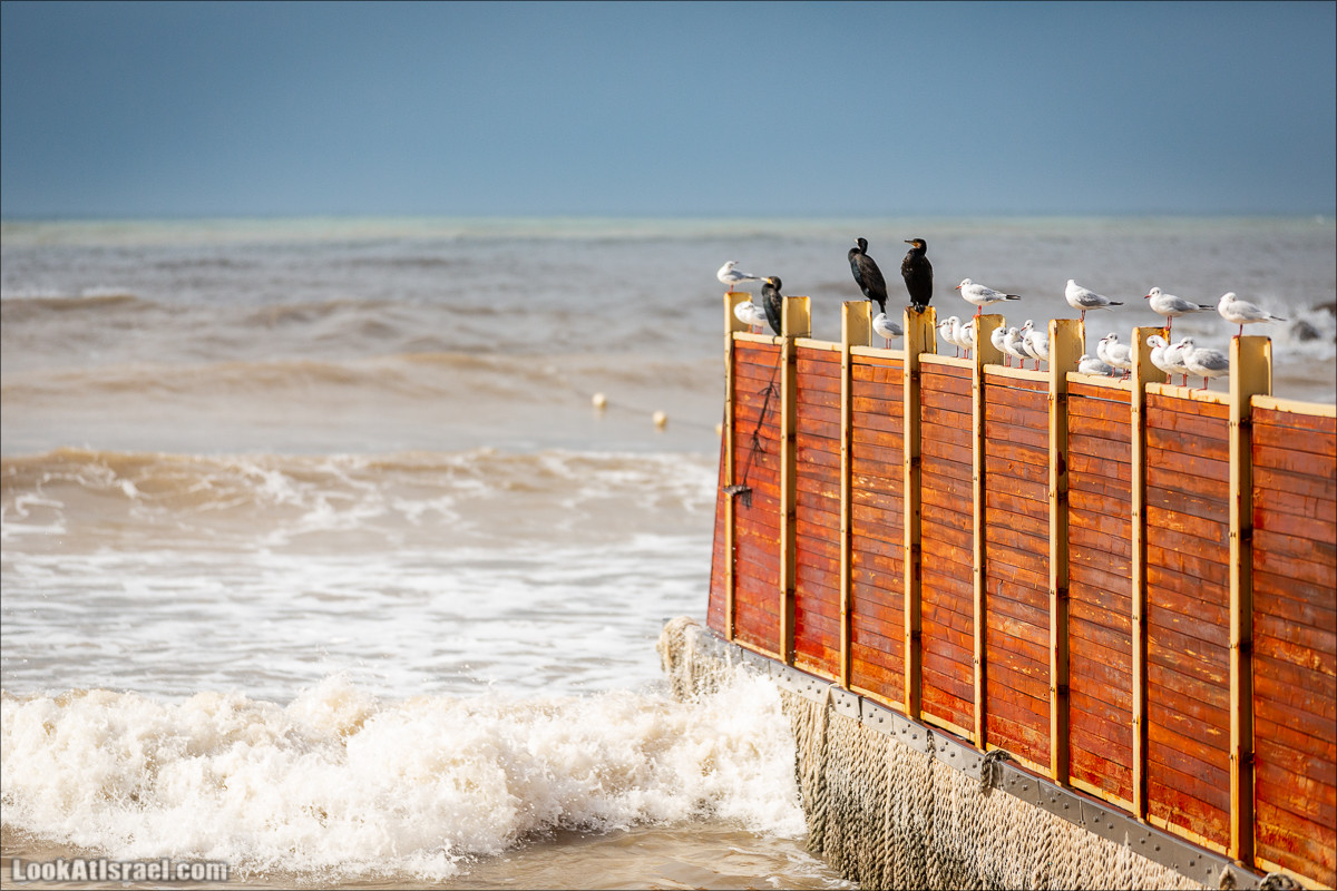 Дождливые выходные в Тель-Авиве | LookAtIsrael.com - Фото путешествия по Израилю