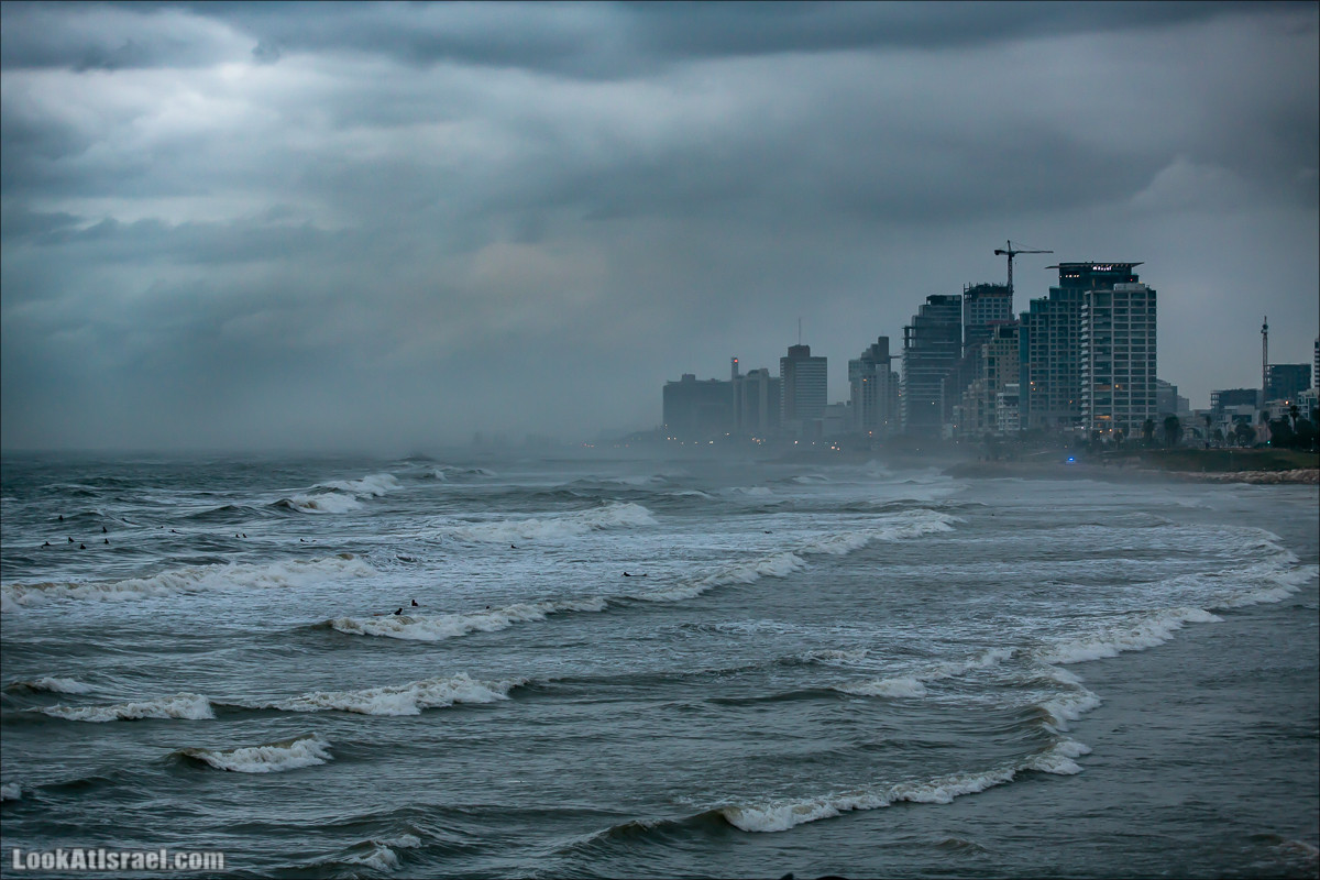 Дождливые выходные в Тель-Авиве | LookAtIsrael.com - Фото путешествия по Израилю