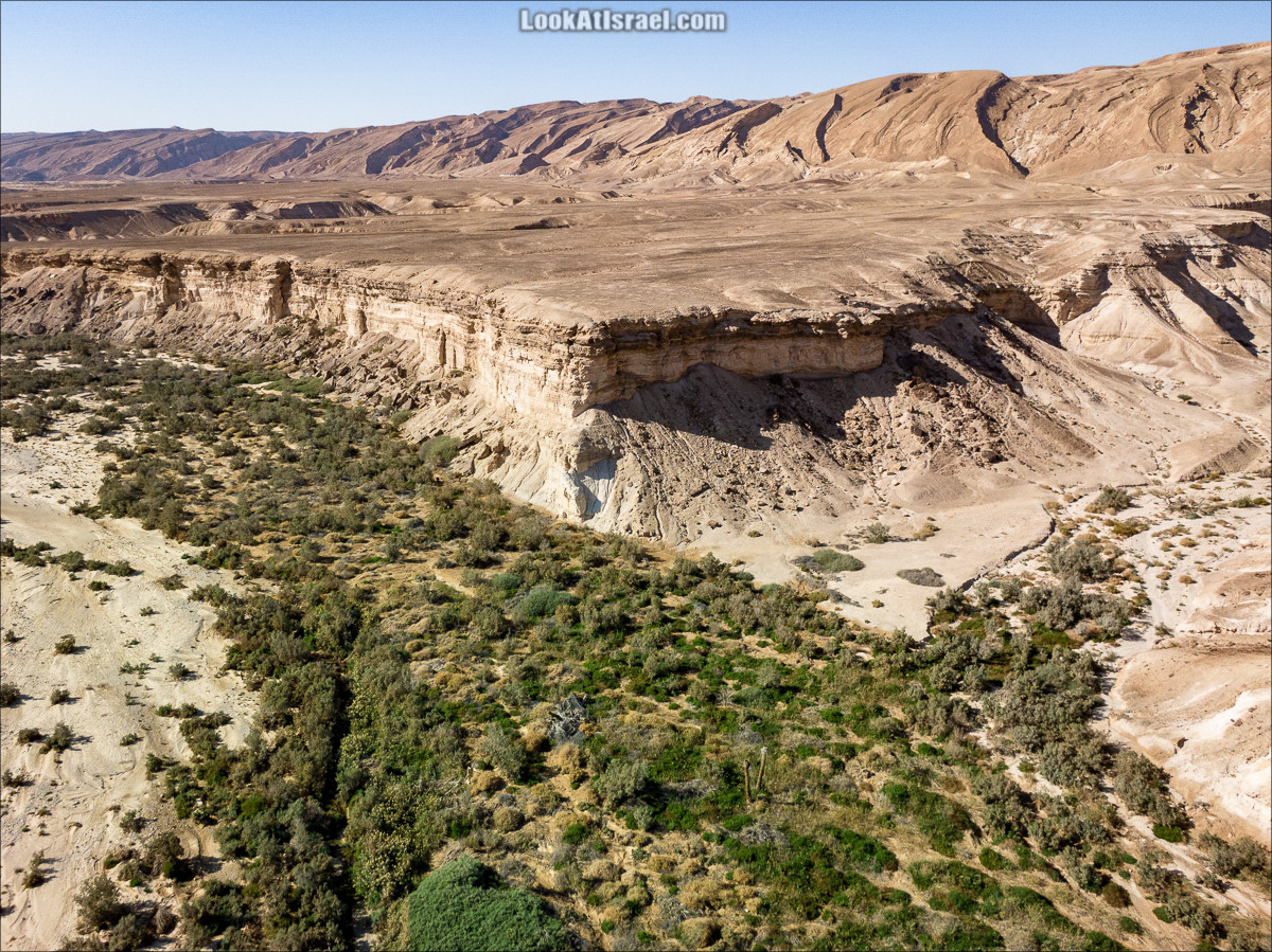 Эйн Цин и Эйн Акрабим - источники, победившие пустыню