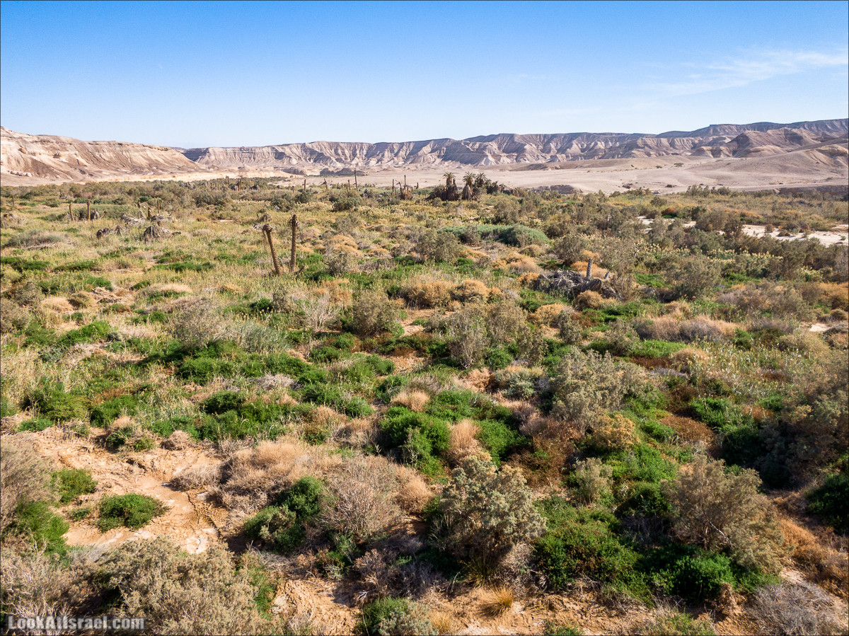 Источник Эйн Цин | עין צין | LookAtIsrael.com - Фото путешествия по Израилю