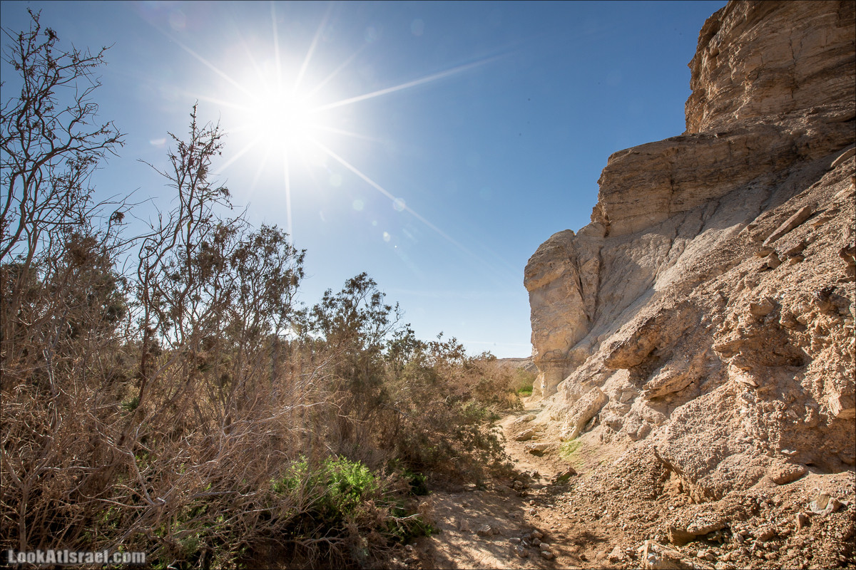 Источник Эйн Цин | עין צין | LookAtIsrael.com - Фото путешествия по Израилю