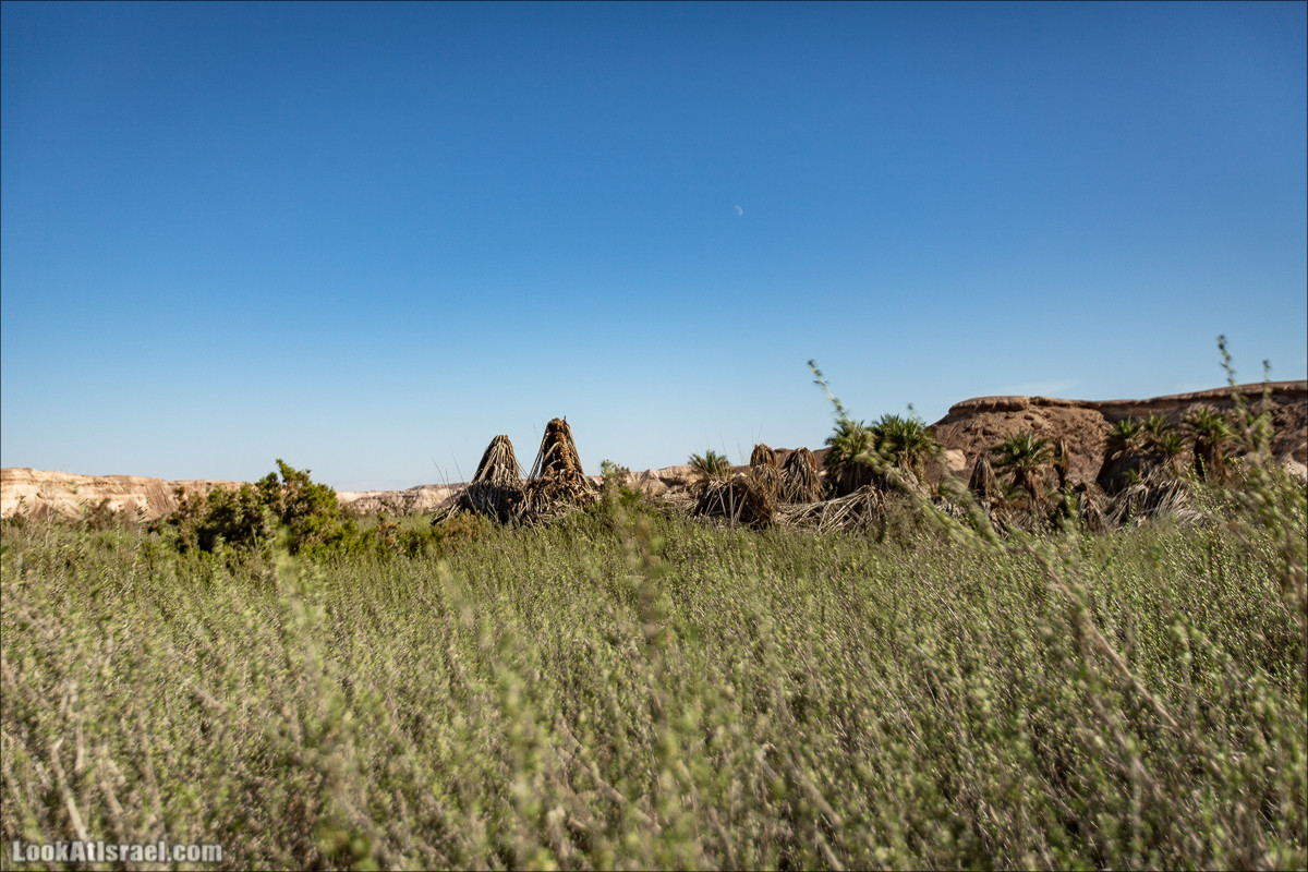 Источник Эйн Цин | עין צין | LookAtIsrael.com - Фото путешествия по Израилю