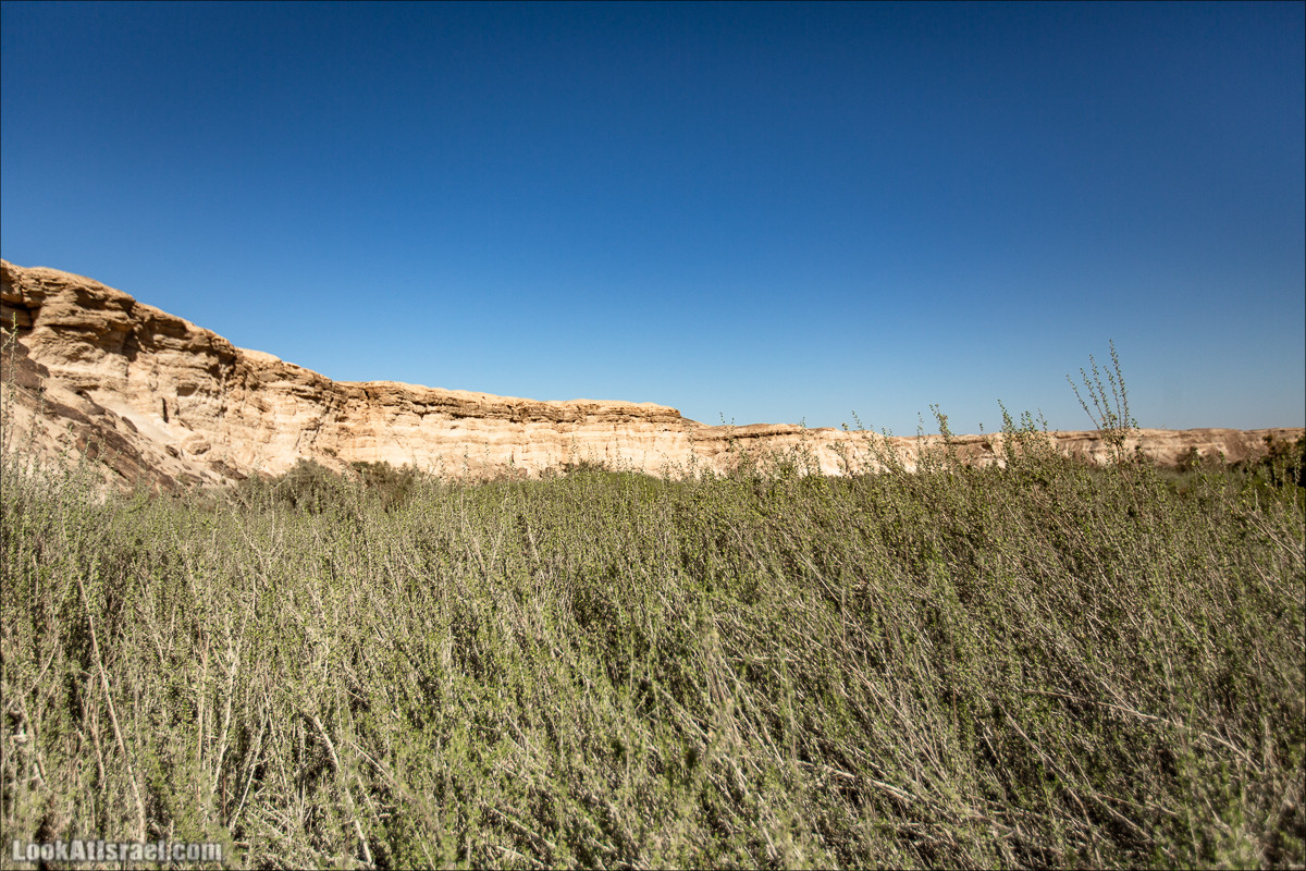 Источник Эйн Цин | עין צין | LookAtIsrael.com - Фото путешествия по Израилю