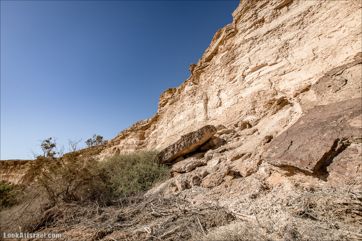 Источник Эйн Цин | עין צין | LookAtIsrael.com - Фото путешествия по Израилю