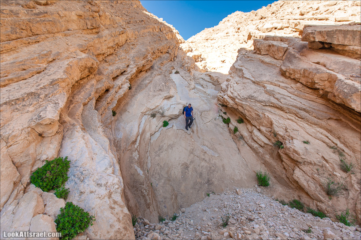 Ущелье скорпионов