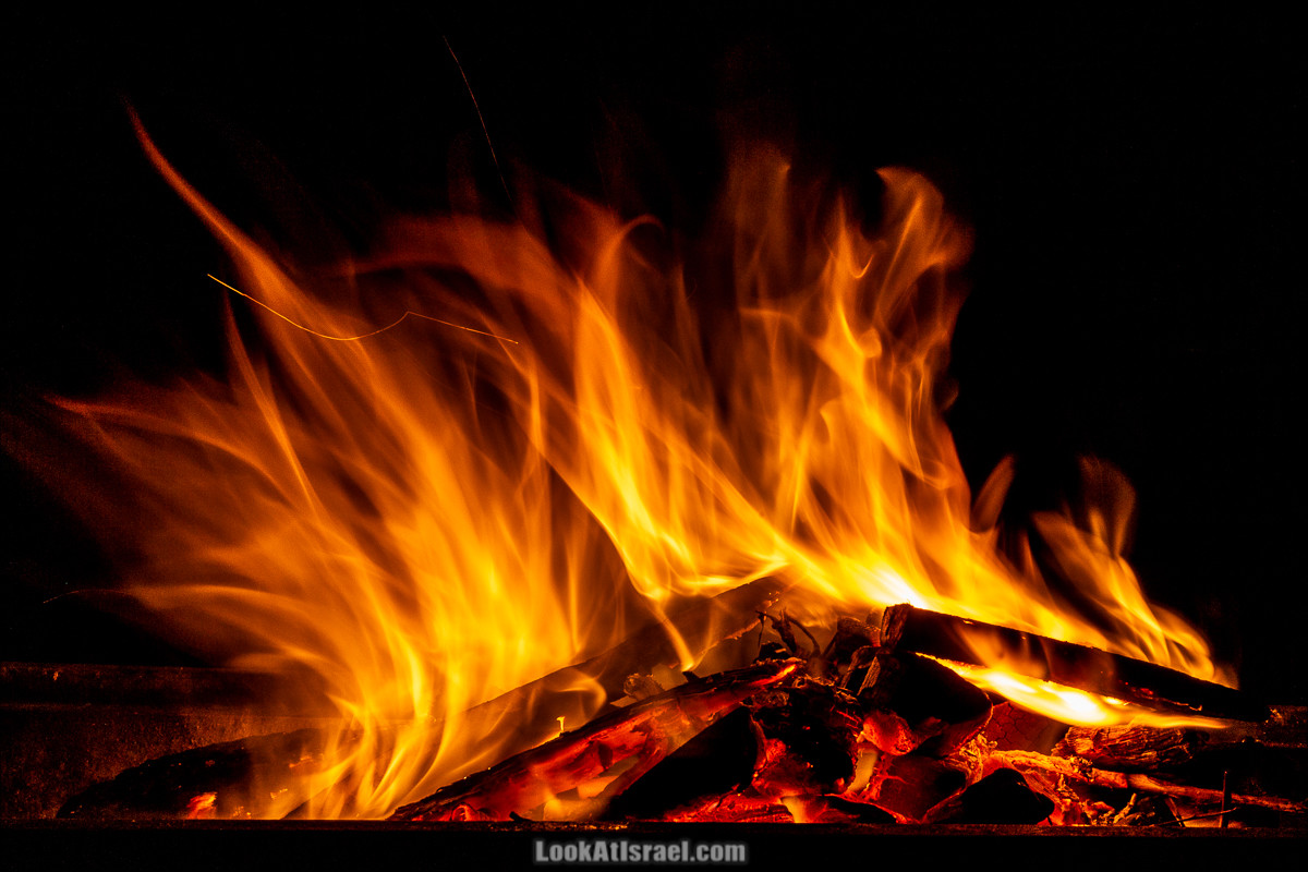 Ущелье Нахаль Акрабим | נחל עקרבים | LookAtIsrael.com - Фото путешествия по Израилю