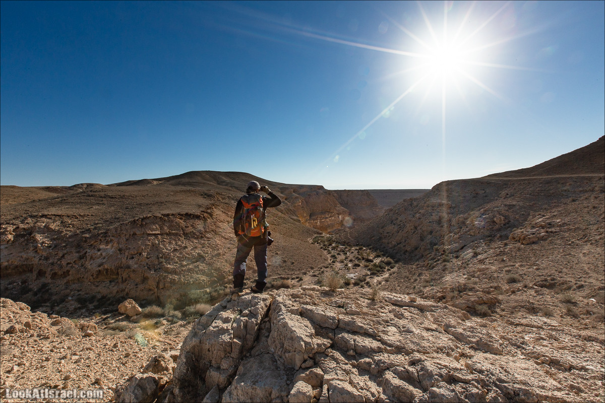 Ущелье Нахаль Акрабим | נחל עקרבים | LookAtIsrael.com - Фото путешествия по Израилю