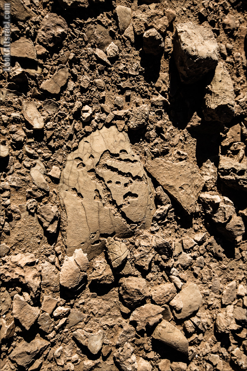 Ущелье Нахаль Акрабим | נחל עקרבים | LookAtIsrael.com - Фото путешествия по Израилю