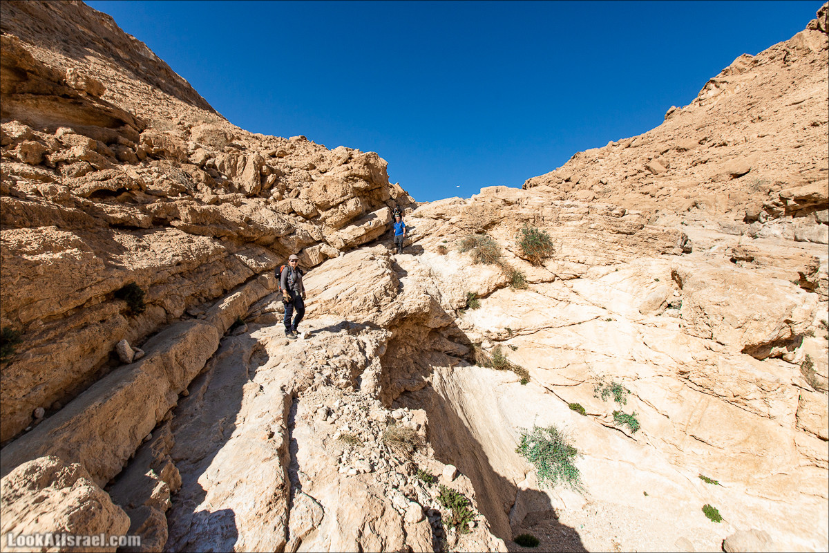 Ущелье Нахаль Акрабим | נחל עקרבים | LookAtIsrael.com - Фото путешествия по Израилю